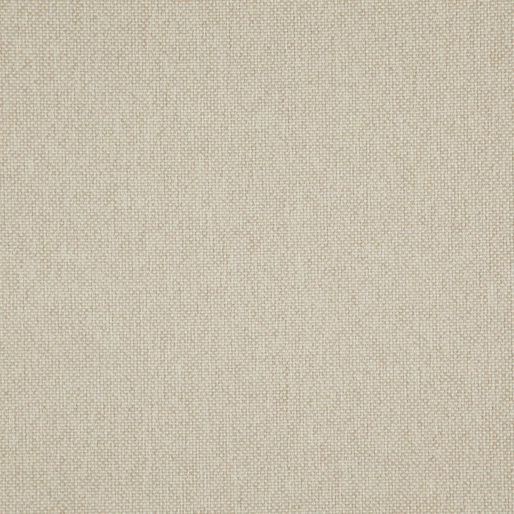 Light Year # 219 Nougat by Maxwell Designer Fabric 100% POLYESTER CHINA 56" - Swanky Fabrics -