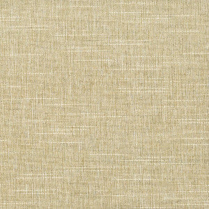Locomotion 1 Parchment by Stout Fabric
