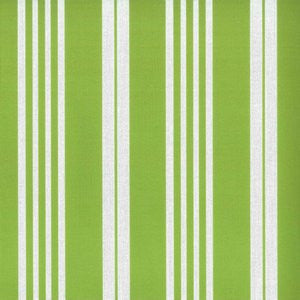 Locust Lime 50 by Norbar Designer Fabric ATRIUM 100% SOLUTION DYED POLYACRYLIC GERMANY 6 1/2"H 54 - Swanky Fabrics -
