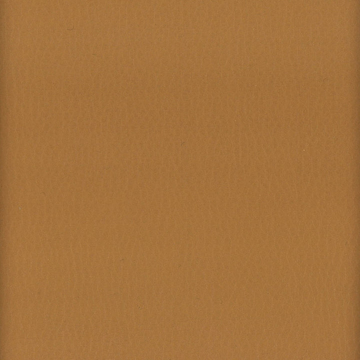 Lodge 10 Cognac by Stout Fabric LEATHER LOOKS III PERFORMANCE 100%POU CHINA FLAME RETARDANT-U.F.A.C. CLASS 1 FLAME RETARDANT-N.F.P.A. 260A CLASS 1 FLAME RETARDANT-FMVSS 302 PERFORMANCE RATED FABRIC WYZENBEEK 500 000 DOUBLE RUB WEAR TEST(EXTREMELY HEAVY DUTY) CATB 117-2013 Horizontal: 0 and Vertical: 0 54 in - Fabric Carolina -