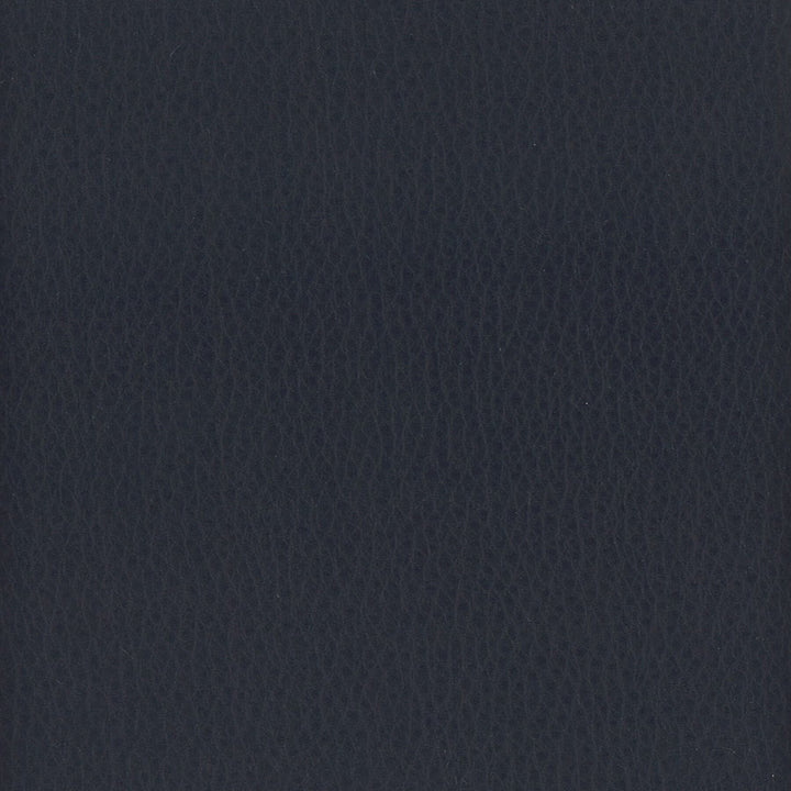 Lodge 3 Regency by Stout Fabric LEATHER LOOKS III PERFORMANCE 100%POU CHINA FLAME RETARDANT-U.F.A.C. CLASS 1 FLAME RETARDANT-N.F.P.A. 260A CLASS 1 FLAME RETARDANT-FMVSS 302 PERFORMANCE RATED FABRIC WYZENBEEK 500 000 DOUBLE RUB WEAR TEST(EXTREMELY HEAVY DUTY) CATB 117-2013 </p><p>Repeat: 0 54 in - Fabric Carolina -