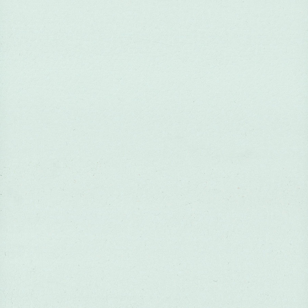 Lodge 4 Moonstone by Stout Fabric Leather Looks Iii Performance 100% Polyurethane CHINA FLAME RETARDANT-U.F.A.C. CLASS 1 (OR A) FLAME RETARDANT-N.F.P.A. 260A CLASS 1 FLAME RETARDANT-FMVSS 302 PERFORMANCE RATED FABRIC WYZENBEEK 500 000 DOUBLE RUB WEAR TEST(EXTREMELY HEAVY DUTY) CATB 117-2013 Horizontal: 0 and Vertical: 0 54 in - Fabric Carolina -