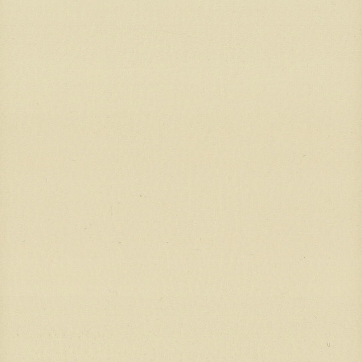 Lodge 7 Oatmeal by Stout Fabric LEATHER LOOKS III PERFORMANCE 100%POU CHINA FLAME RETARDANT-U.F.A.C. CLASS 1 FLAME RETARDANT-N.F.P.A. 260A CLASS 1 FLAME RETARDANT-FMVSS 302 PERFORMANCE RATED FABRIC WYZENBEEK 500 000 DOUBLE RUB WEAR TEST(EXTREMELY HEAVY DUTY) CATB 117-2013 Horizontal: 0 and Vertical: 0 54 in - Fabric Carolina -