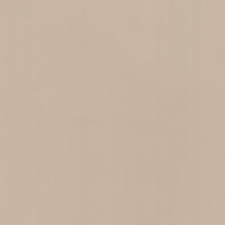 Lodge 7 Oatmeal by Stout Fabric LEATHER LOOKS III PERFORMANCE 100%POU CHINA PERFORMANCE RATED FABRIC WYZENBEEK 100 000 DOUBLE RUB WEAR TEST (HEAVY DUTY) FLAME RETARDANT-U.F.A.C. CLASS 1 CATB 117-2013 Horizontal: 0.000 and Vertical: 0.000 54 in - Fabric Carolina -