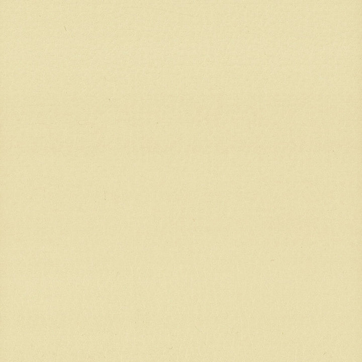 Lodge 9 Chamois by Stout Fabric Stout Fabric Lodge 9 ChamoisFabric LEATHER LOOKS III PERFORMANCE 100%POU CHINA </p><p>Repeat: H: 0.000, V: 0.000 54 in - Fabric Carolina -