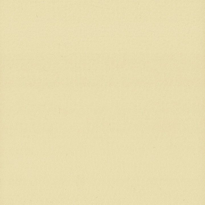 Lodge 9 Chamois by Stout Fabric LEATHER LOOKS III PERFORMANCE 100%POU CHINA Horizontal: 0.000 and Vertical: 0.000 54 in - Fabric Carolina -