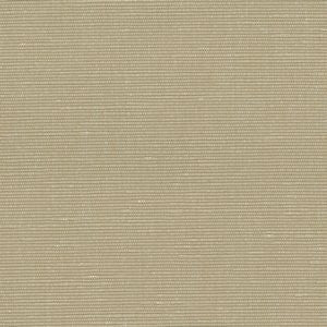 Logan Beige by Norbar Fabric Color/BEIGE 100% POLYESTER INDIA 45,000 WYZENBEEK 54" - Fabric Carolina -