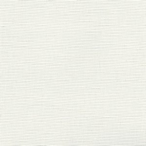 Logan Canvas by Norbar Fabric Color/NEUTRAL-NATURAL 100% POLYESTER INDIA 45,000 WYZENBEEK 54" - Fabric Carolina -