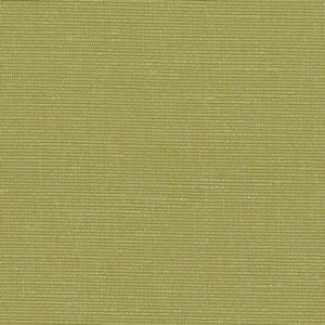 Logan Lime by Norbar Fabric See Sample 100% POLYESTER INDIA 45,000 WYZENBEEK 54" - Fabric Carolina -