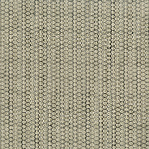 Sense 908 Carbon by ABBEYSHEA Fabric