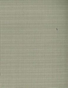 Lohegan Almond by Norbar Fabric SUNRISE 100% POLYPROPYLENE TAIWAN 54 - Fabric Carolina -