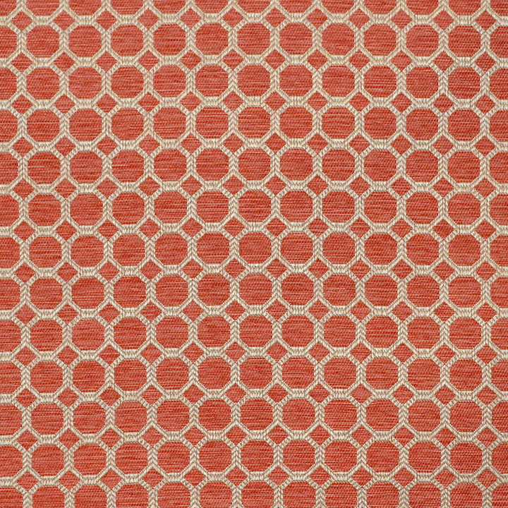 Lolilo Persimmon by Magnolia Fabric - 100% Poly China 55000 Horizontal: 1.5 and Vertical: 1.5 57" - Fabric Carolina -