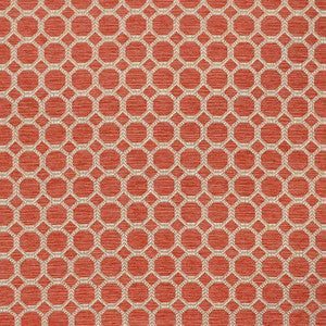 Lolilo Persimmon by Magnolia Fabric