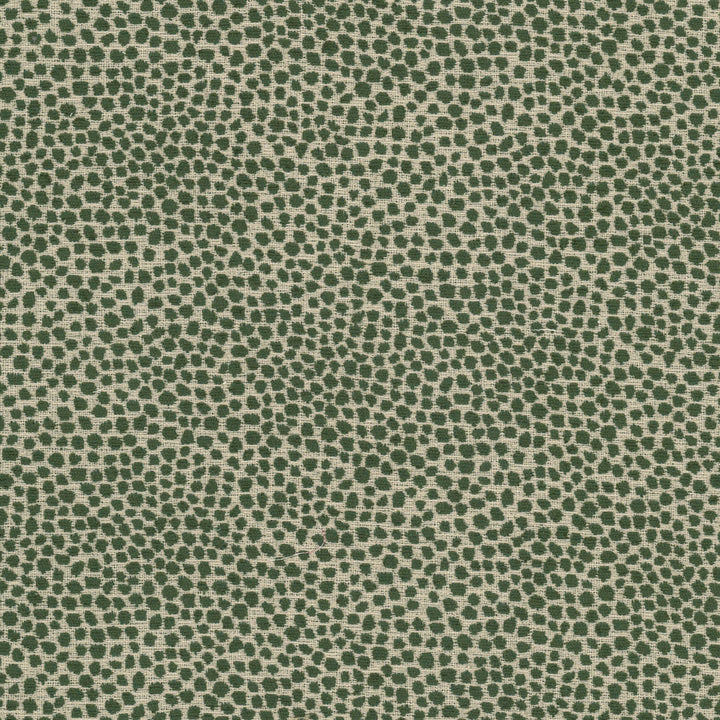 Lollypop 3 Bottle by Stout Fabric Stout Fabric Lollypop 3 BottleFabric Comfortable Living Sage/Moss 100%Pol China </p><p>Repeat: H: 13.75, V: 0 55.5 in - Fabric Carolina -