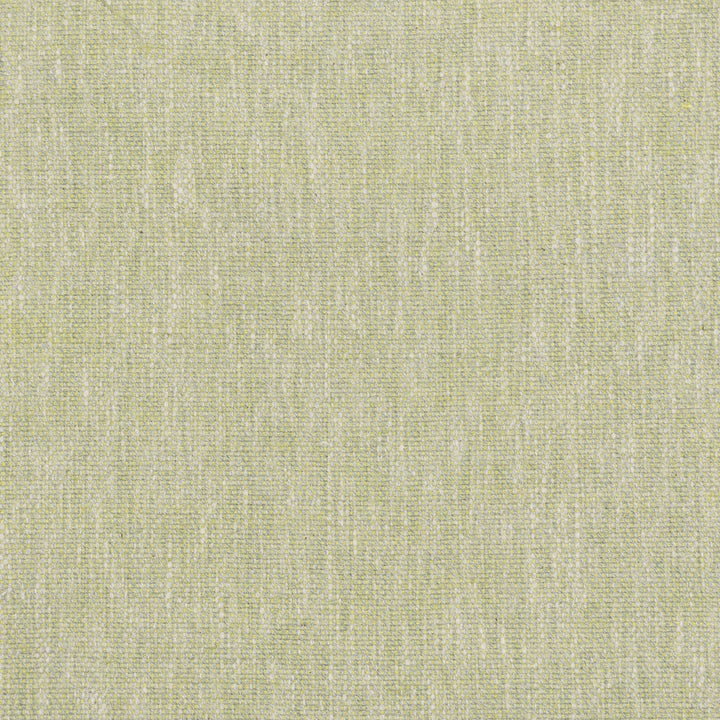 Lombardy 2 Citrine by Stout Fabric COMFORTABLE LIVING SPRING/MOSS 79%POL 21%COT INDIA PERFORMANCE RATED FABRIC FLAME RETARDANT-U.F.A.C. CLASS 1 FLAME RETARDANT-N.F.P.A. 260A CLASS 1 CATB 117-2013 WYZENBEEK 47 000 DOUBLE RUB WEAR TEST (HEAVY DUTY) Horizontal: 0.000 and Vertical: 0.000 54 in - Fabric Carolina -