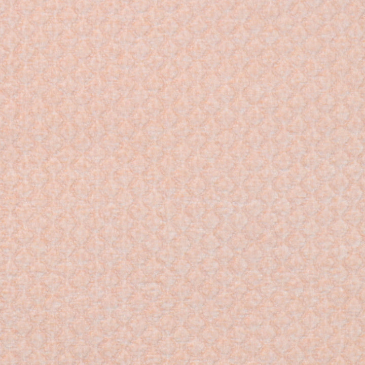 Looped Passion by Magnolia Fabric - 100% POLY CHINA 30,000 Horizontal: 1.00 and Vertical: .75 56" - Fabric Carolina -