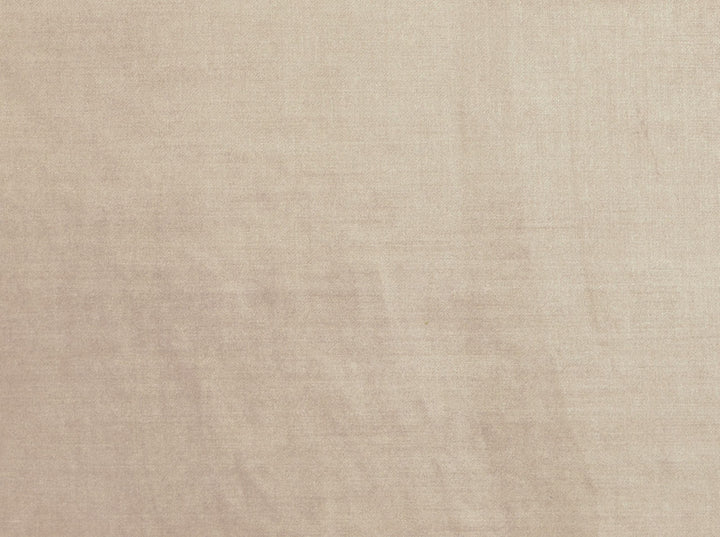 Lopez Blush 7 by Norbar Fabric RITZ 100% POLYESTER CHINA 58 - Fabric Carolina -