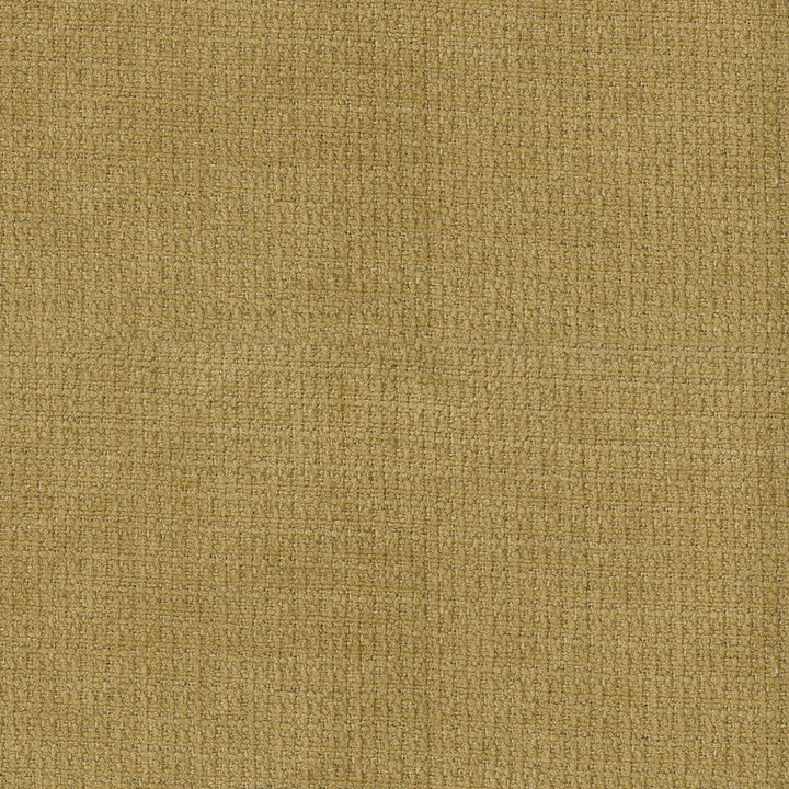 Lorenzo 509 Marigold by ABBEYSHEA Fabric CN </p><p>Repeat: Horizontal: and Vertical: - Fabric Carolina -