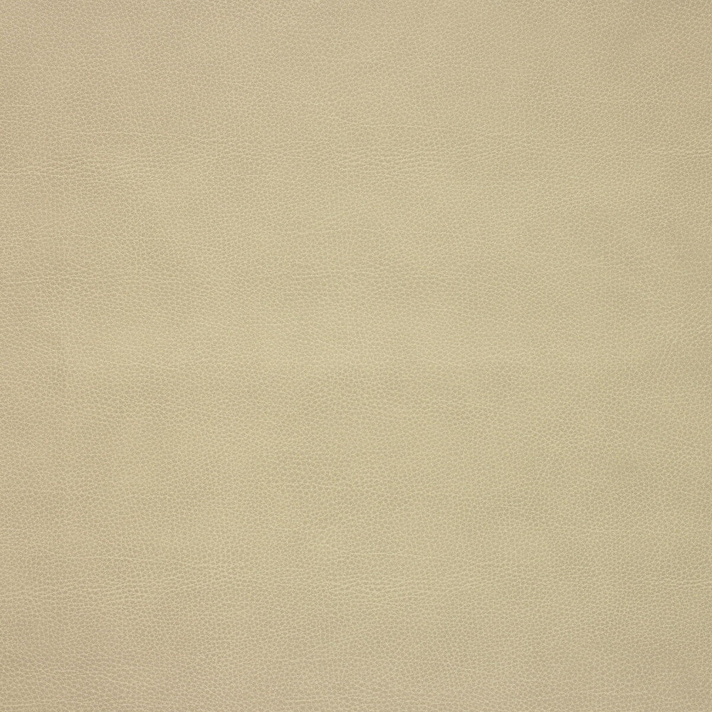 Loris-106 by Kravet Design Fabric - POLY VINYL CHLORIDE - 75%;POLYESTER - 16%;COTTON - 9% Korea, Republic of HEAVY Horizontal: 0 and Vertical: 0 54 - Fabric Carolina -