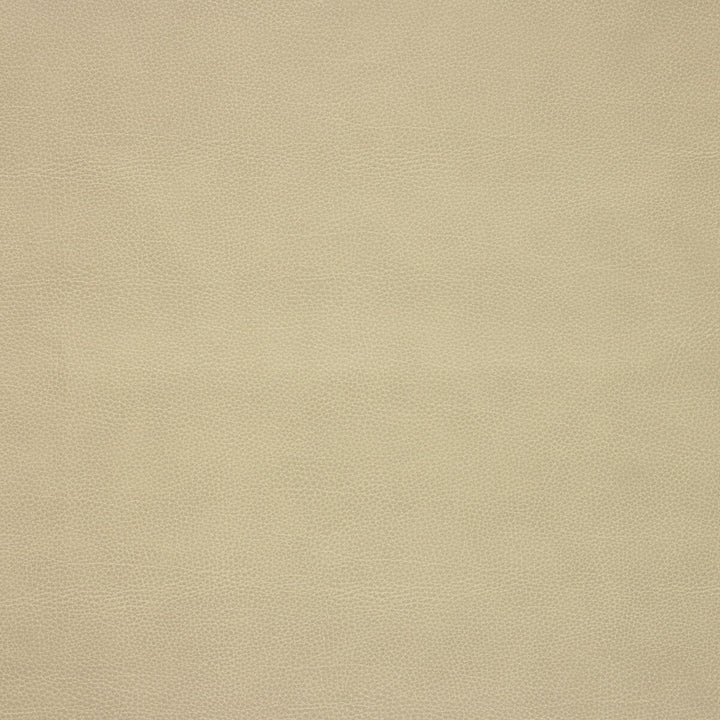 Loris-106 by Kravet Design Fabric - POLY VINYL CHLORIDE - 75%;POLYESTER - 16%;COTTON - 9% Korea, Republic of HEAVY Horizontal: 0 and Vertical: 0 54 - Fabric Carolina -