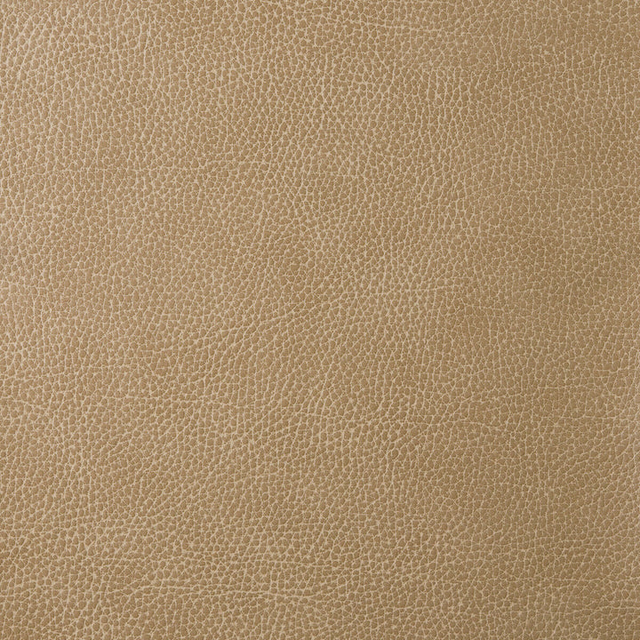 Loris-30 by Kravet Design Fabric POLY VINYL CHLORIDE - 75%;POLYESTER - 16%;COTTON - 9% Korea, Republic of HEAVY Horizontal: 0 and Vertical: 0 54 - Fabric Carolina -