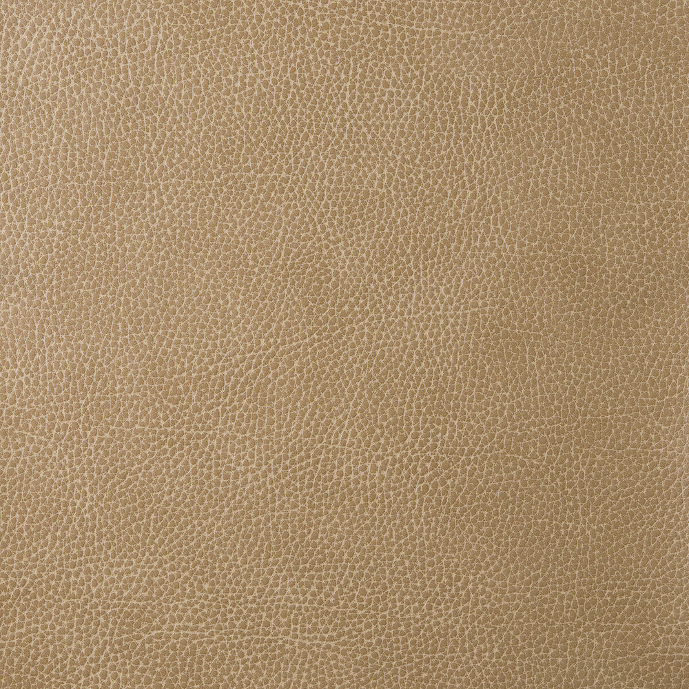 Loris-30 by Kravet Design Fabric - POLY VINYL CHLORIDE - 75%;POLYESTER - 16%;COTTON - 9% Korea, Republic of HEAVY Horizontal: 0 and Vertical: 0 54 - Fabric Carolina -