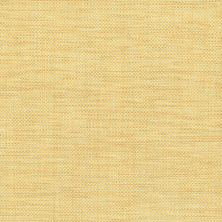 Lotion 26 Straw by Stout Fabric RAINBOW LIBRARY MICA/BRONZE 63%POL 35%SVI 2%ACR CHINA FLAME RETARDANT-U.F.A.C. CLASS 1 WYZENBEEK 51 000 DOUBLE RUB WEAR TEST (HEAVY DUTY) Horizontal: 0 and Vertical: 0 55 in - Fabric Carolina -