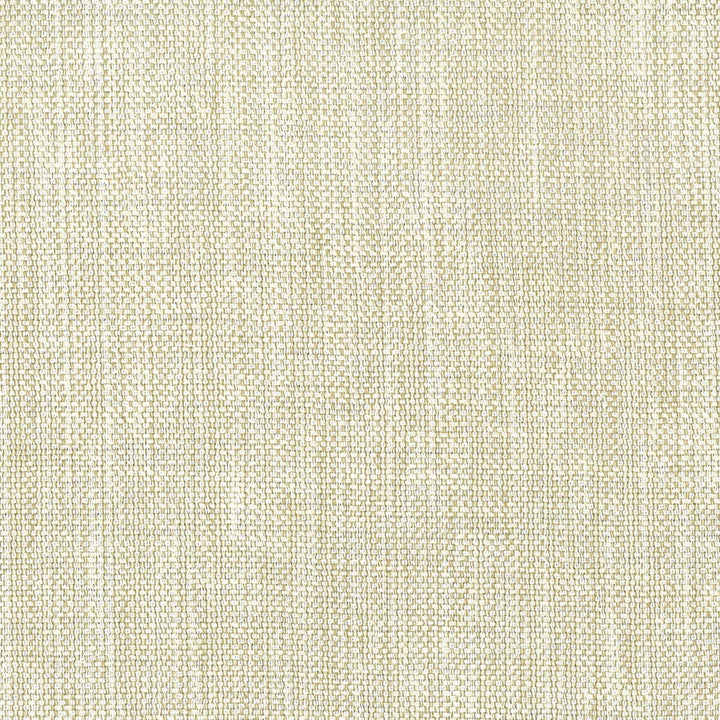 Lotion 27 Parchment by Stout Fabric RAINBOW LIBRARY PEARL/PARCHMENT 63%POL 35%SVI 2%ACR CHINA FLAME RETARDANT-U.F.A.C. CLASS 1 WYZENBEEK 51 000 DOUBLE RUB WEAR TEST (HEAVY DUTY) Horizontal: 0 and Vertical: 0 55 in - Fabric Carolina -