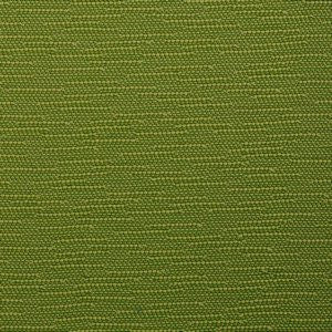 Lotus Green by Norbar Fabric OUTDOOR WEB 100% BELLA DURA POLOLEFIN USA 50,000 WYZENBEEK </p><p>Repeat: 2 7/8"V 13 1/2"H 54 - Fabric Carolina -
