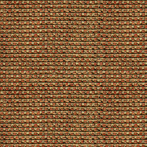 Shaffer 41 Apricot by ABBEYSHEA Fabric