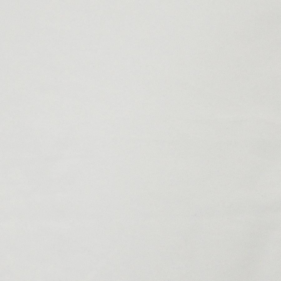 Laertes # 638 Snow by Maxwell Fabric Sheer Textures 100% POLYESTER TURKEY 118" - Fabric Carolina -