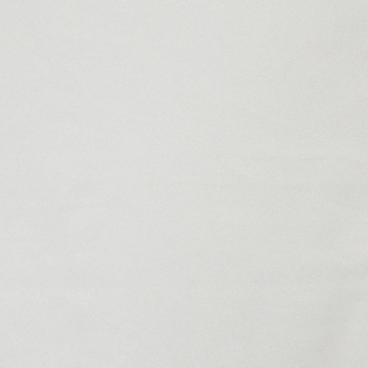 Laertes # 638 Snow by Maxwell Fabric Sheer Textures 100% POLYESTER TURKEY 118" - Fabric Carolina -