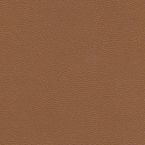 Levant-Nj # 1175 Cinnamon by Maxwell Fabric