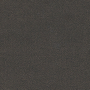 Levant-Nj # 1176 Graphite by Maxwell Fabric