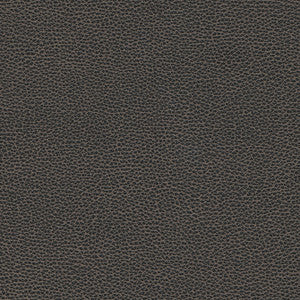 Levant-Nj # 1176 Graphite by Maxwell Fabric