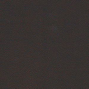 Levant-Nj # 1178 Black Bean by Maxwell Fabric