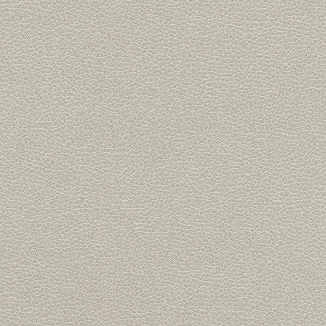 Levant-Nj # 1179 Cloud by Maxwell Fabric Memos Only-Coated Fabrics FACE: 100% PVC
BACKING: 100% POLYESTER VIETNAM 54" - Fabric Carolina -