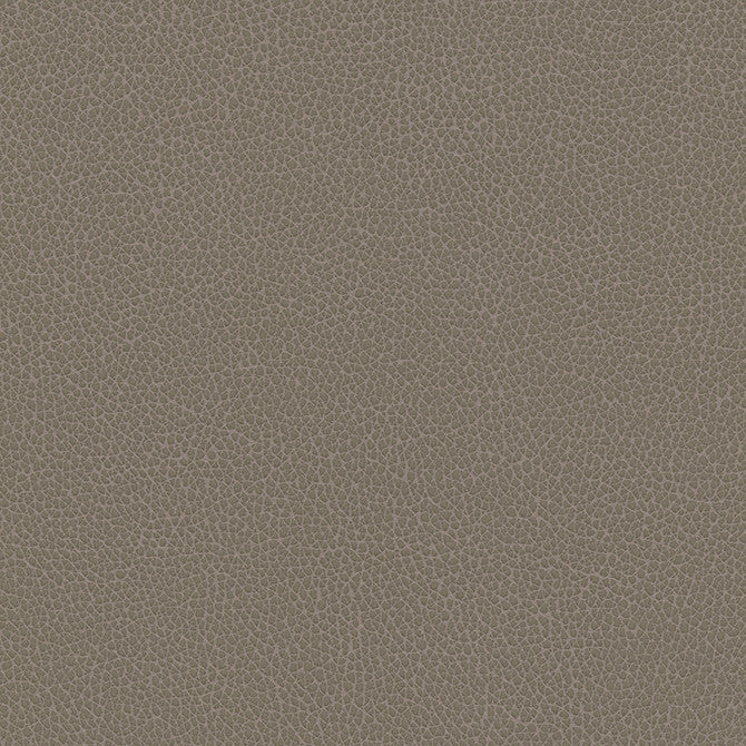 Levant-Nj # 1180 Fox by Maxwell Designer Fabric Memos Only-Coated Fabrics FACE: 100% PVC
BACKING: 100% POLYESTER VIETNAM 54" - Swanky Fabrics -