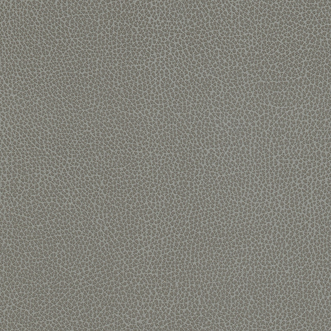 Levant-Nj # 1182 Cirrus by Maxwell Fabric Memos Only-Coated Fabrics FACE: 100% PVC
BACKING: 100% POLYESTER VIETNAM 54" - Fabric Carolina -