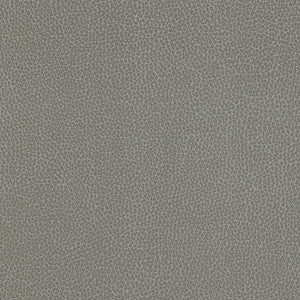 Levant-Nj # 1182 Cirrus by Maxwell Fabric