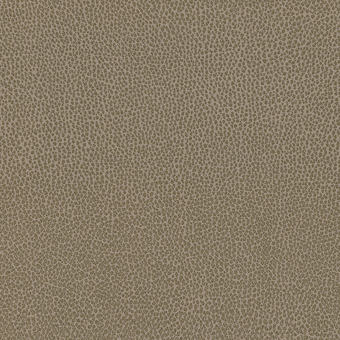 Levant-Nj # 1184 Earth by Maxwell Fabric Memos Only-Coated Fabrics FACE: 100% PVC
BACKING: 100% POLYESTER VIETNAM 54" - Fabric Carolina -
