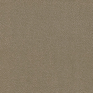 Levant-Nj # 1184 Earth by Maxwell Fabric