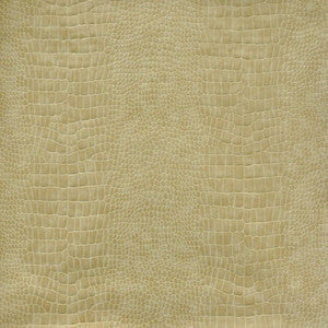 Lizzie # 758 Cashew by Maxwell Fabric