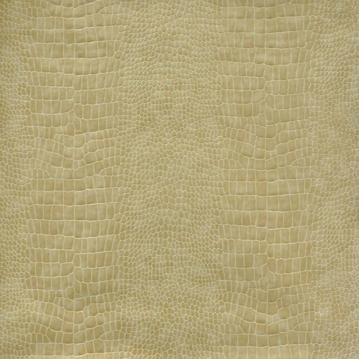 Lizzie # 758 Cashew by Maxwell Fabric Easy Rider Viii FACE: 100% PVC
BACKING: 65% POLYESTER KOREA V-7.5" H-8.5" 54" - Fabric Carolina -
