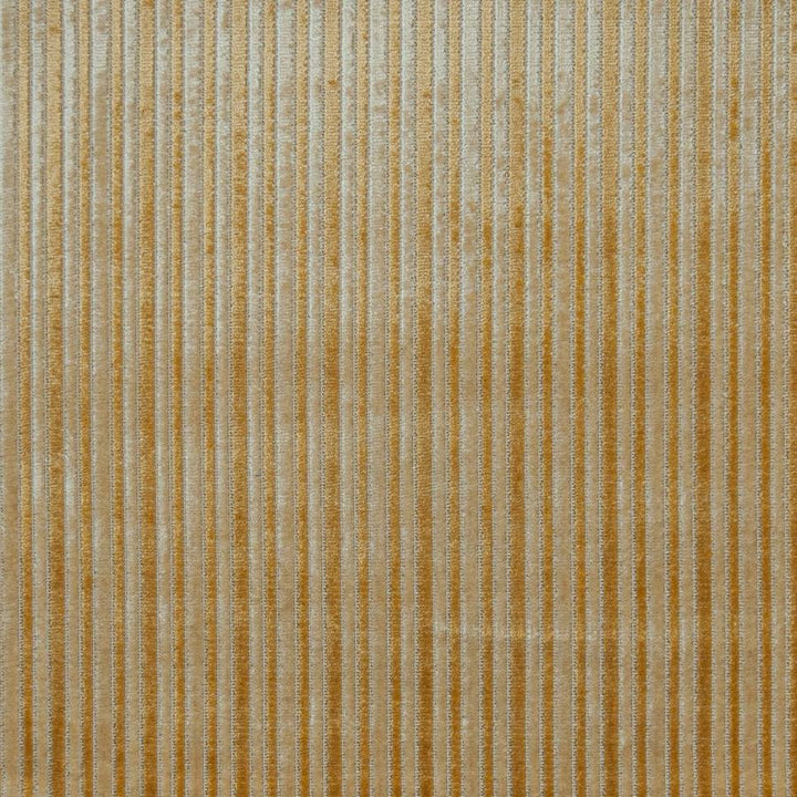 Lugano # 638 Harvest by Maxwell Fabric Performance Cut Velvets 48% POLYESTER
47% VISCOSE
5% COTTON BELGIUM H-1.7" 55" - Fabric Carolina -