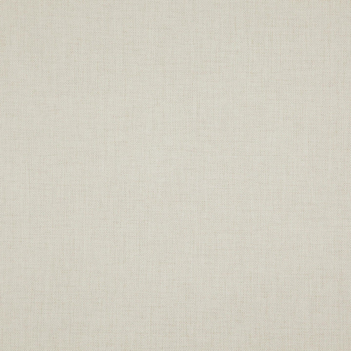 Lucas 91J8291 by JF Designer Fabric Veryday Presto Fibrguard 100% Polyester China 90000 Horizontal: and Vertical: 55 - Swanky Fabrics -