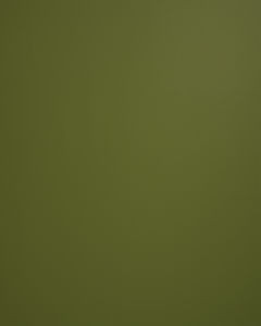 Lucky Aloe by Norbar Fabric
