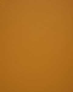 Lucky Ochre by Norbar Fabric