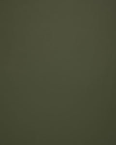 Lucky Olive by Norbar Fabric LUCKY 100% POLYURETAHNE CHINA 54 - Fabric Carolina -