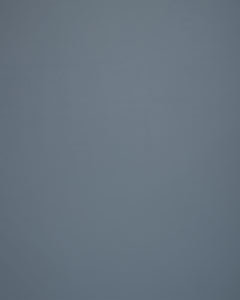 Lucky Steel by Norbar Fabric LUCKY 100% POLYURETAHNE CHINA 54 - Fabric Carolina -